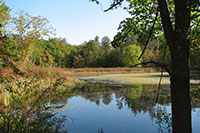 Picture1